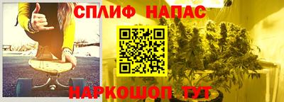сатива Апшеронск