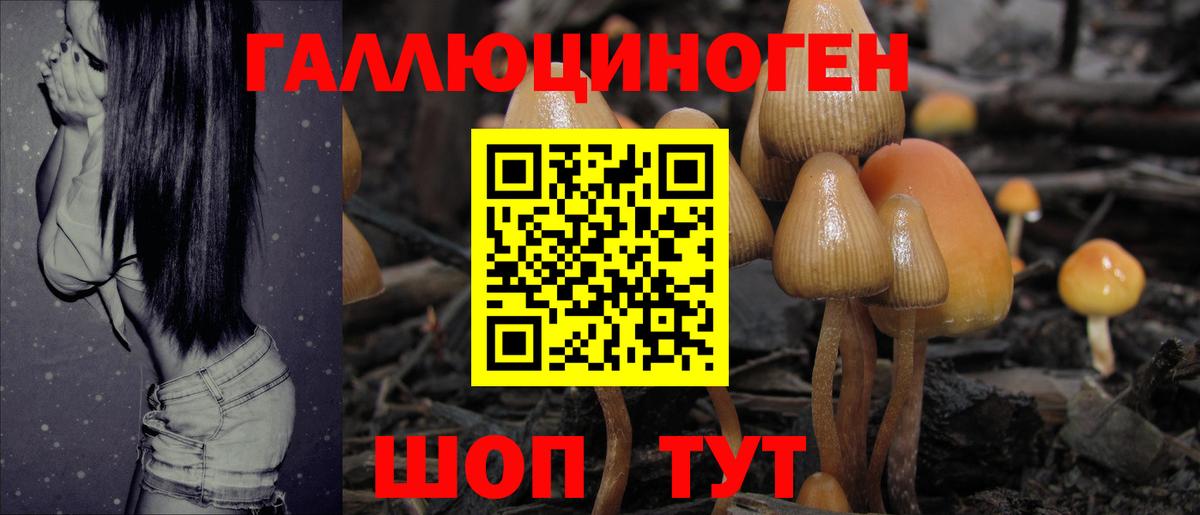 Псилоцибиновые грибы прущие грибы  Вход с VPN  Берёзовский 