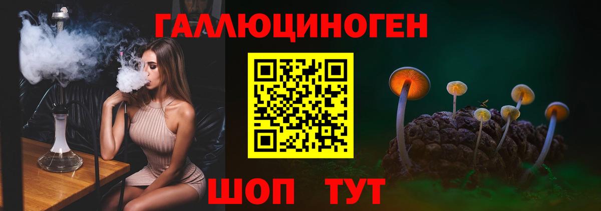 Псилоцибиновые грибы прущие грибы Берёзовский